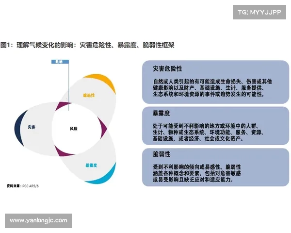 适应场地环境至关重要 这样才能确保活动顺利进行 适应场地环境至关重要 这样才能确保活动顺利进行